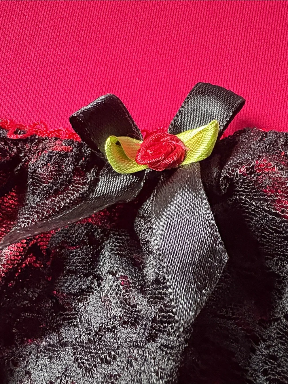 Black Lace and Red Garter Belt